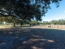 058_The Meadows